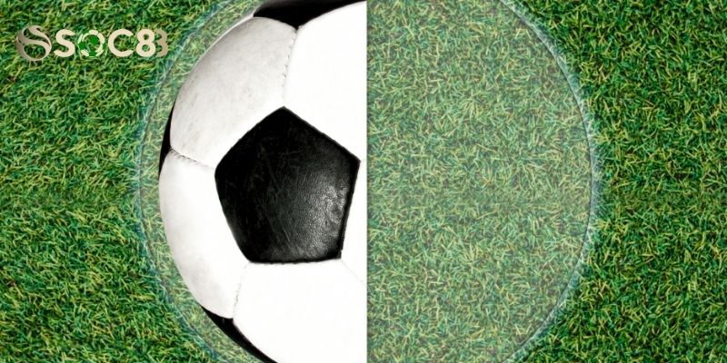 Kèo Đồng Nửa Cùng Những Thông Tin Hữu Ích Nhất Dành Cho Bạn