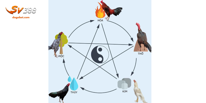 Xem ngày đá gà phù hợp để thắng lớn